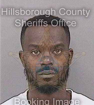 Burgess Louis - Hillsborough County, FL 