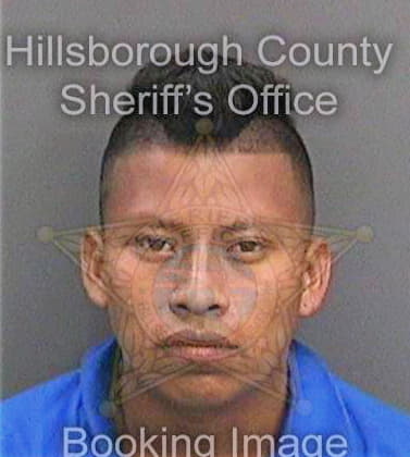 Perezixcoy Jose - Hillsborough County, FL 