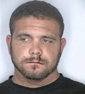 Simmons Reginald - Hillsborough County, FL 