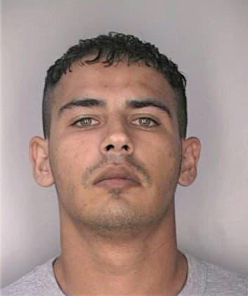 Silva Rolando - Hillsborough County, FL 