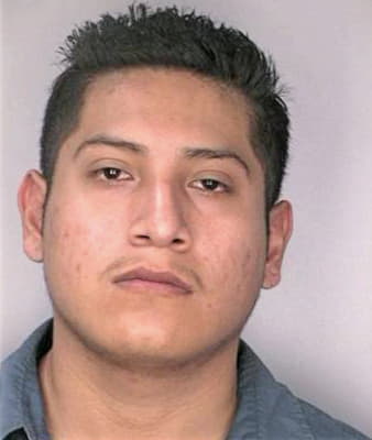 Miguelflores Victor - Hillsborough County, FL 