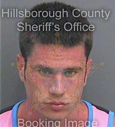 Stephens David - Hillsborough County, FL 