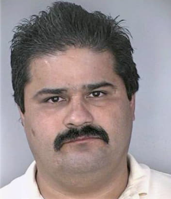 Velasquez Gerardo - Hillsborough County, FL 