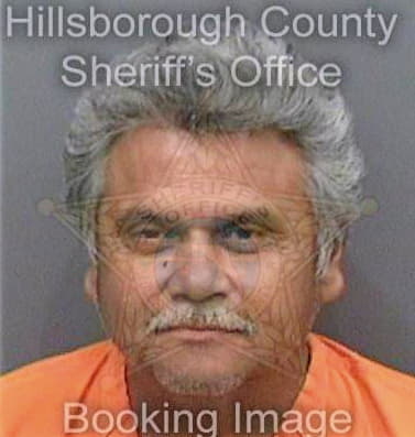 Medranovazquez Martin - Hillsborough County, FL 