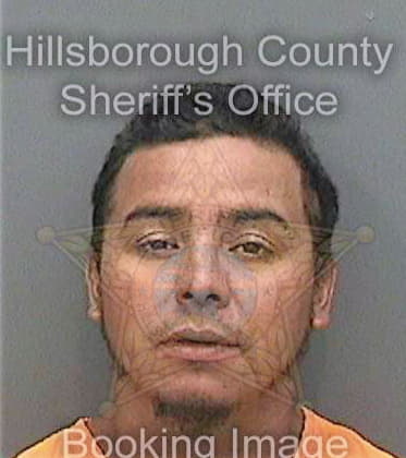 Galvan Omar - Hillsborough County, FL 