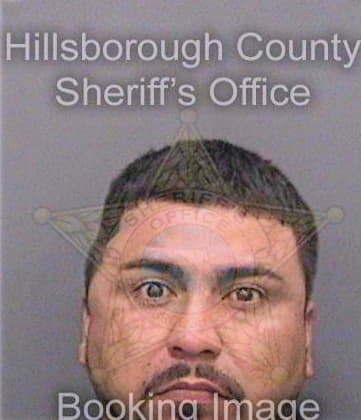 Rico Armando - Hillsborough County, FL 