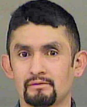 Hernandez Luis - Mecklenburg County, NC 