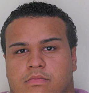 Reynoso Benjamin - Hillsborough County, FL 