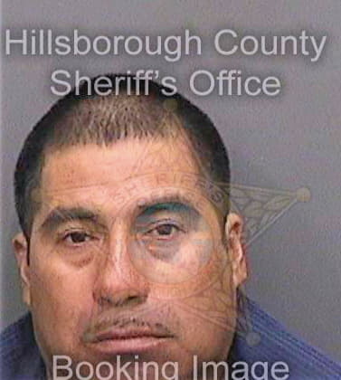 Cruzlopez Emiliano - Hillsborough County, FL 