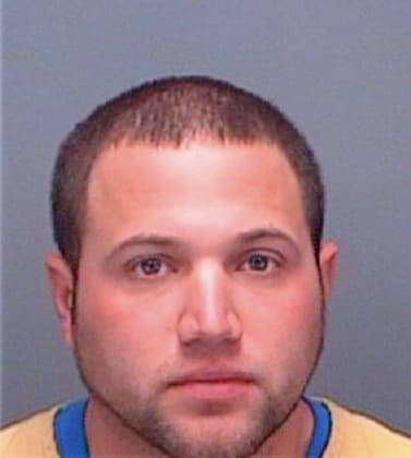 Mazzoni Aaron - Pinellas County, FL 