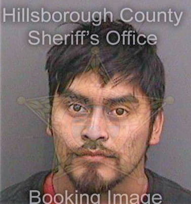 Perezventura Nelson - Hillsborough County, FL 