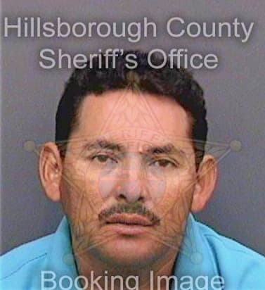 Santos Francisco - Hillsborough County, FL 