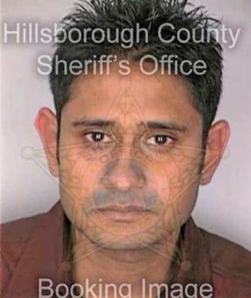 Patel Mitesh - Hillsborough County, FL 