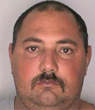 Silva Mario - Hillsborough County, FL 