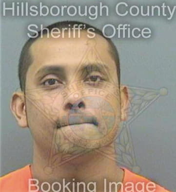 Hosein Andy - Hillsborough County, FL 