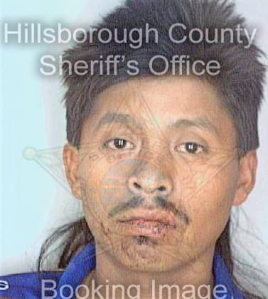 Sanchez Sergio - Hillsborough County, FL 