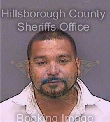 Villarreal Damian - Hillsborough County, FL 