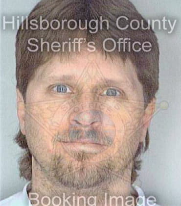 Michel David - Hillsborough County, FL 
