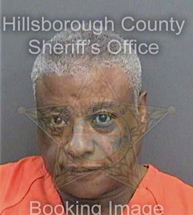 Mcintyre Secedrick - Hillsborough County, FL 