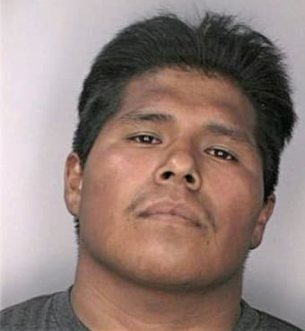 Torrez Rigoberto - Hillsborough County, FL 