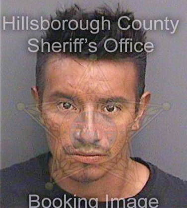 Deleongutierrez Leyver - Hillsborough County, FL 