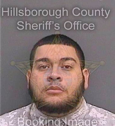 Trejo Danny - Hillsborough County, FL 