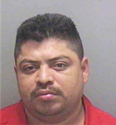 Argueta Vicente - Lee County, FL 