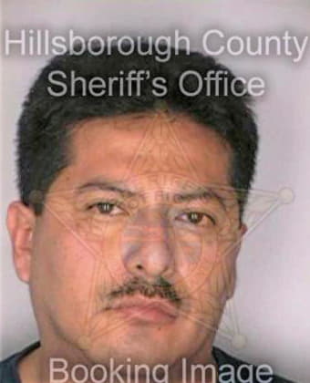 Mero Jimmy - Hillsborough County, FL 