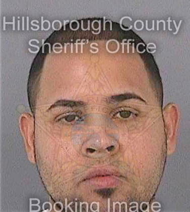 Davila Elimelec - Hillsborough County, FL 