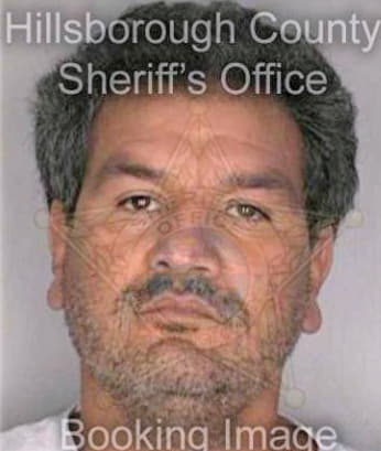 Silva Martin - Hillsborough County, FL 