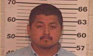 Hernandez Juan - Hidalgo County, TX 