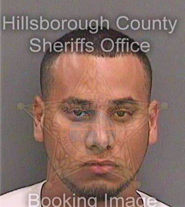 Deltoro Fernando - Hillsborough County, FL 