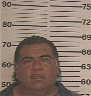 Ramirez Jose - Hidalgo County, TX 