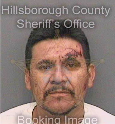 Martineztrejo Juan - Hillsborough County, FL 