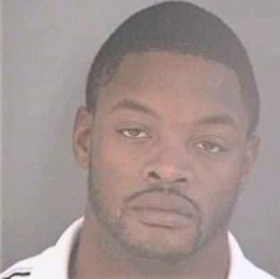 Mceachern Nicholas - Hillsborough County, FL 