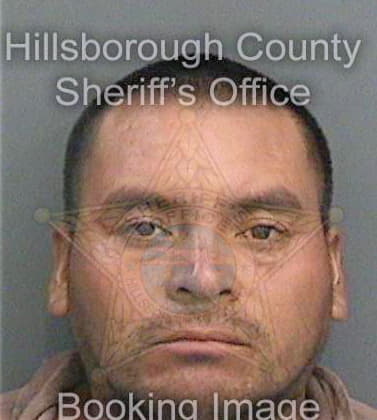 Mejiavasquez Marbel - Hillsborough County, FL 