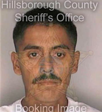Meza Carlos - Hillsborough County, FL 
