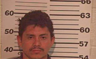 Mejia Miguel - Hidalgo County, TX 