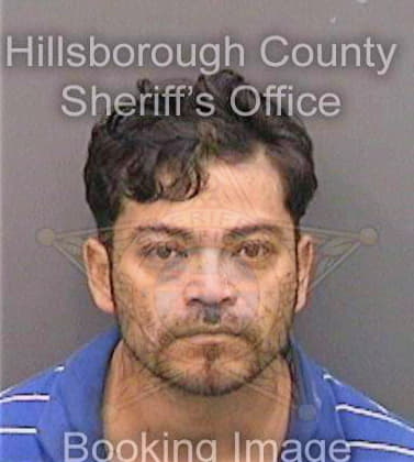 Llanosgarcia Carlos - Hillsborough County, FL 