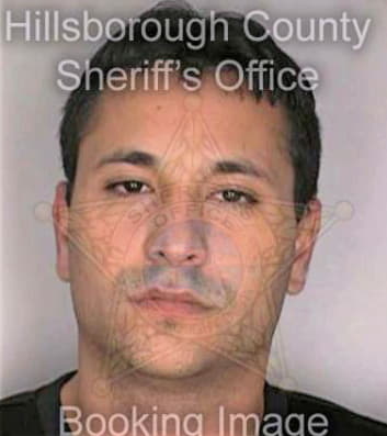 Matos Ernesto - Hillsborough County, FL 