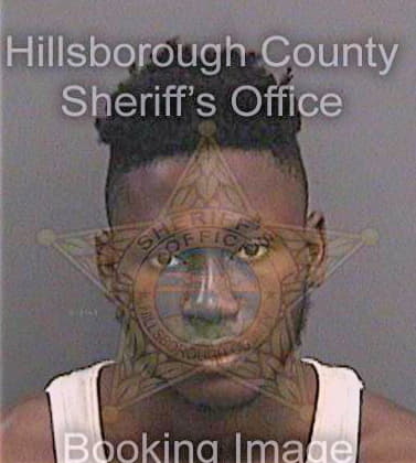 Bakare Ayuba - Hillsborough County, FL 