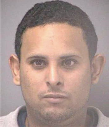 Ramirez Raymond - Hillsborough County, FL 