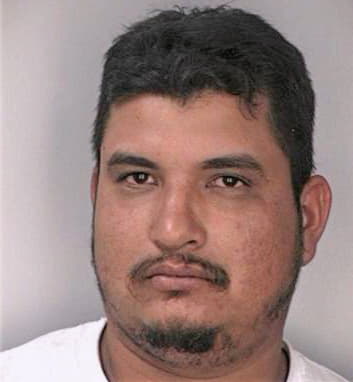 Gonzalezherrera Samuel - Hillsborough County, FL 