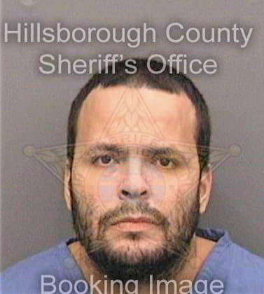 Feliciano Sherwin - Hillsborough County, FL 