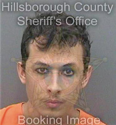 Conigliaro Christopher - Hillsborough County, FL 