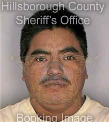 Gomez Marcelino - Hillsborough County, FL 