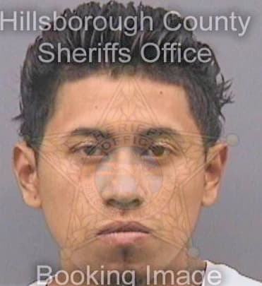 Garcia Nelson - Hillsborough County, FL 