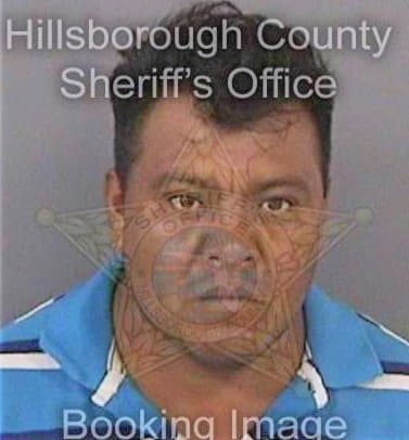 Reyesroque Victor - Hillsborough County, FL 