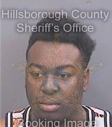 Mckinney Kelvin - Hillsborough County, FL 