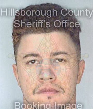 Dejesus William - Hillsborough County, FL 